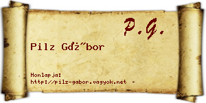 Pilz Gábor névjegykártya